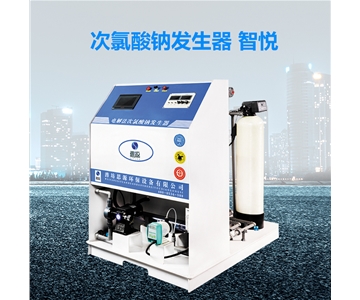 电解法次氯酸钠发生器300g
